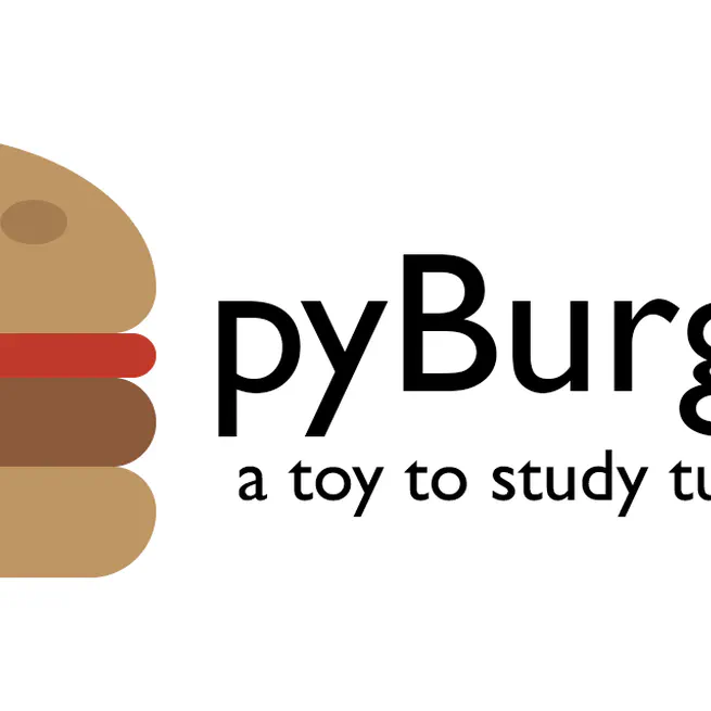 pyBurgers