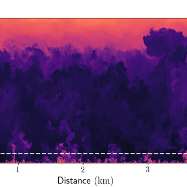 Structure functions and structure parameters of velocity fluctuations in numerically simulated atmospheric convective boundary layer flows